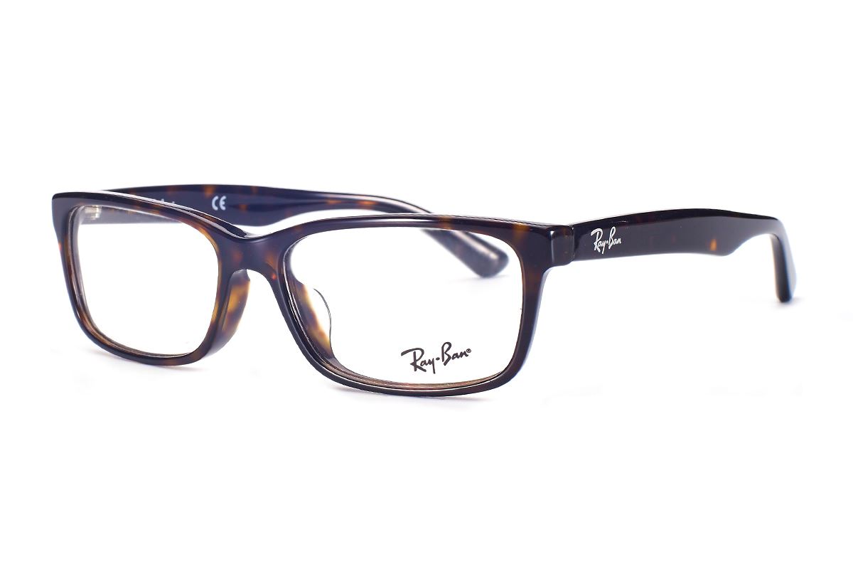 Ray Ban 板料眼鏡框 RB5296-BO1