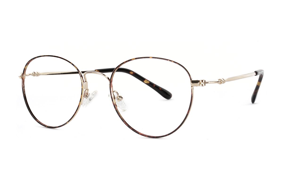 嚴選細框眼鏡 FS8003-C21