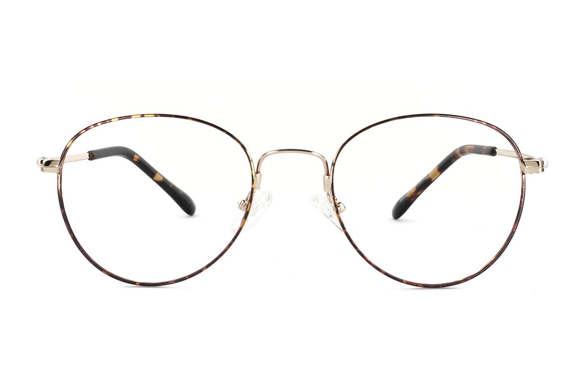 嚴選細框眼鏡 FS8003-C22