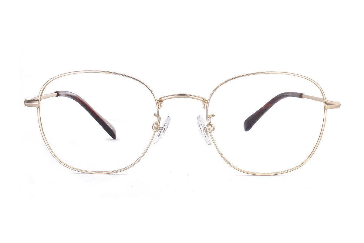 嚴選質感細框眼鏡 FU1329-C212