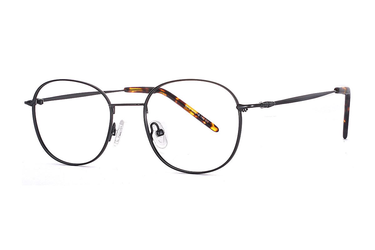 嚴選細框眼鏡 FS2212-C11