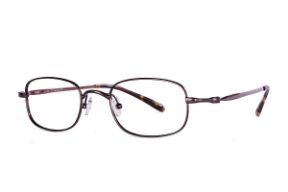 眼鏡鏡框-嚴選高質感純鈦眼鏡 527-C9