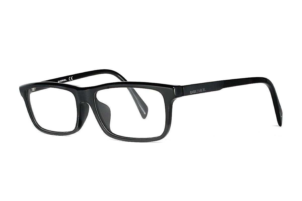 DIESEL 高質感眼鏡 DL5203-0021