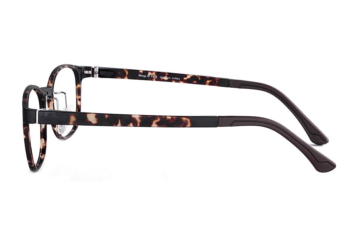 嚴選韓製塑鋼眼鏡 J317-C53
