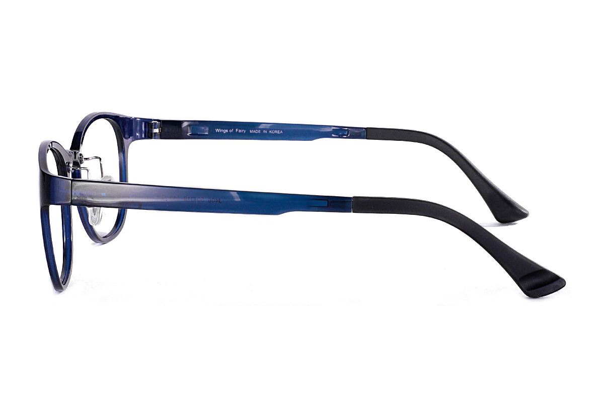 嚴選韓製塑鋼眼鏡  J406-C43