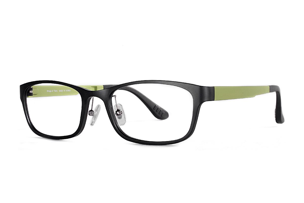 嚴選韓製塑鋼眼鏡 J117-C61