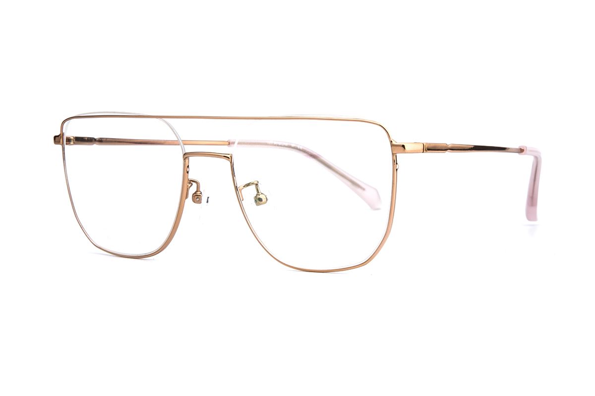 嚴選經典鈦眼鏡 6686-C101
