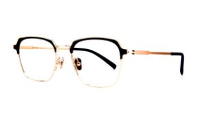 Glasses-Select 5566-C1