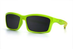 Sunglasses-Select CH318-C5