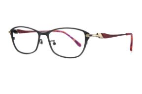 眼鏡鏡框-高質感純鈦淑女框 9050-C10