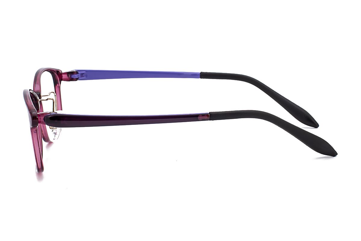 嚴選質感塑鋼眼鏡 6009-C53